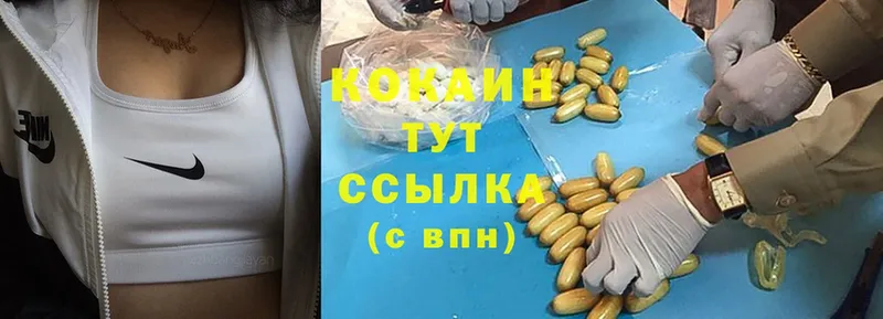 КОКАИН FishScale  omg ONION  Новороссийск  где найти  